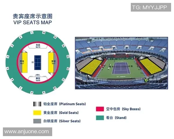 上海乒乓球队灵活性探讨：如何提升竞技水平与应对挑战