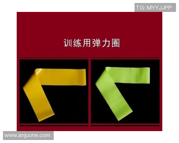 北京羽毛球队耐力对比深度解析与训练策略探讨 北京羽毛球队耐力对比深度解析与训练策略探讨