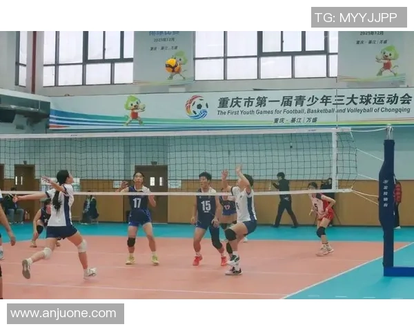 重庆排球队比赛经验分享:从训练到赛场的成长之路 重庆排球队比赛经验分享:从训练到赛场的成长之路