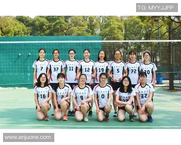 武汉排球队个人能力提升探讨与发展策略分析